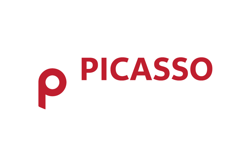 Picasso Designs